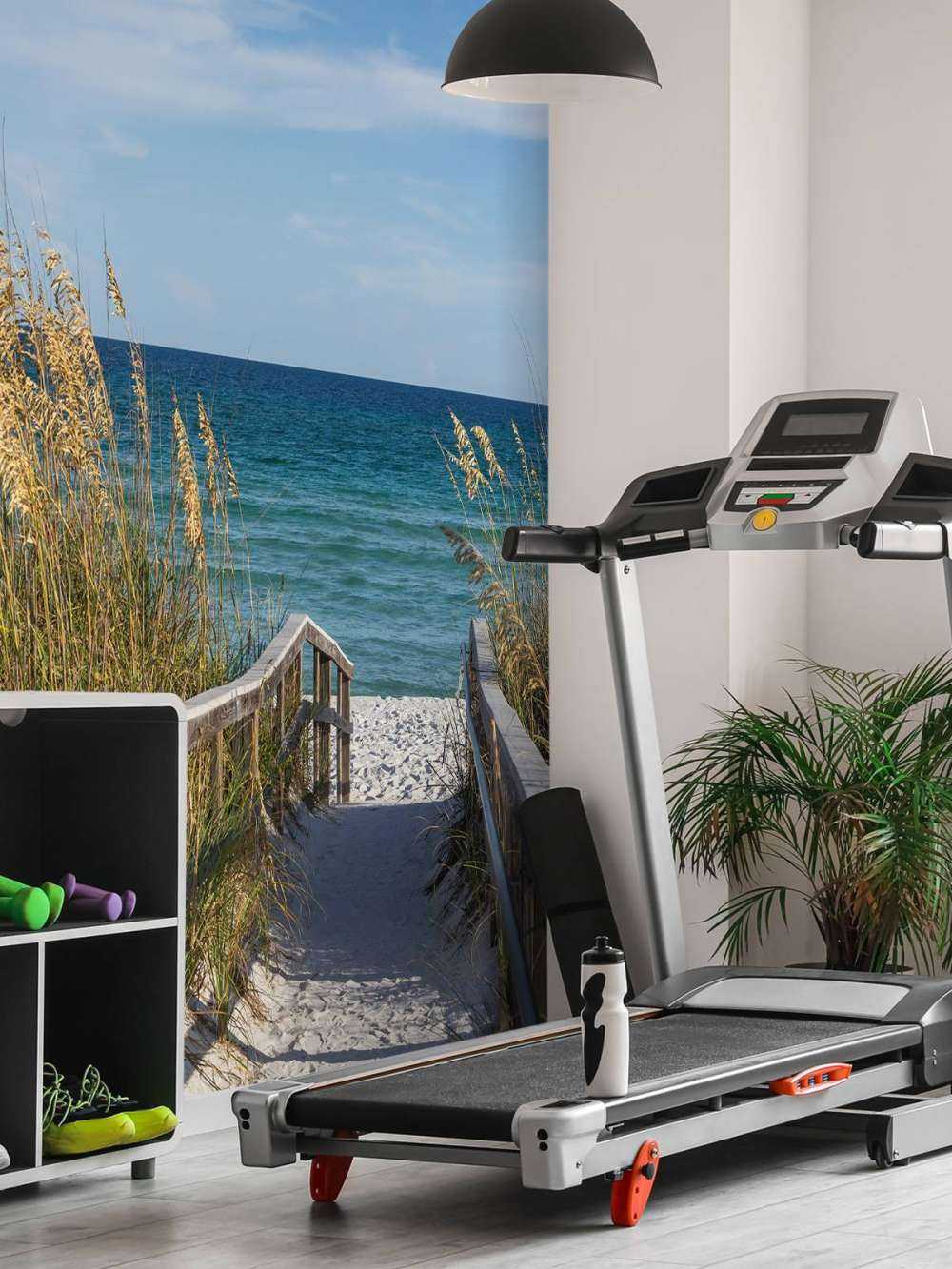 Sentiero della spiaggia