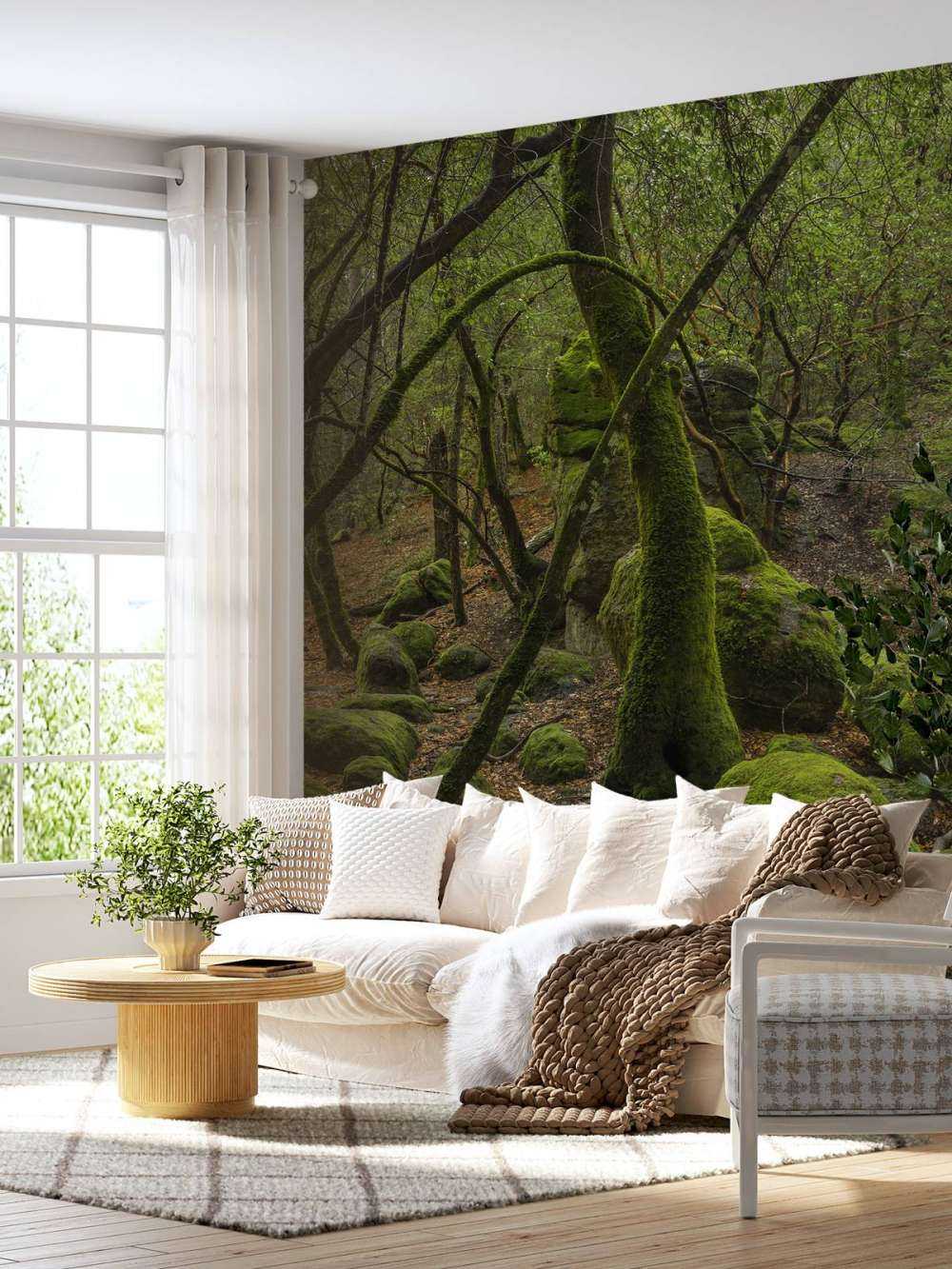 Alberi e pietre di muschio