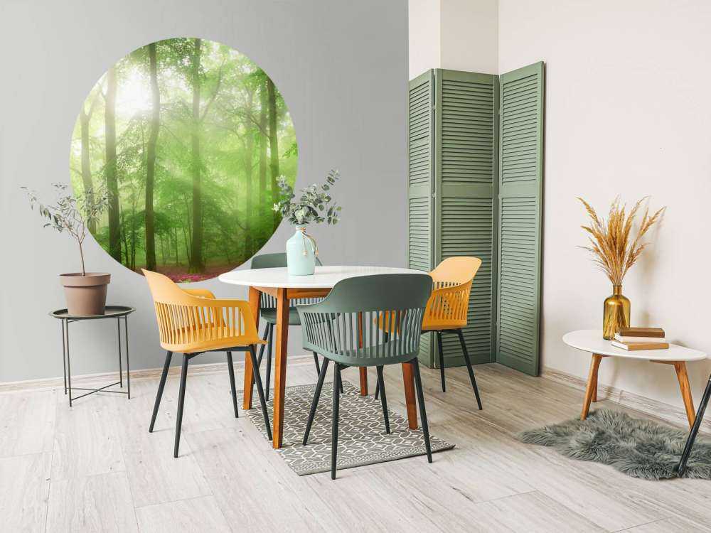 Panorama verde della foresta