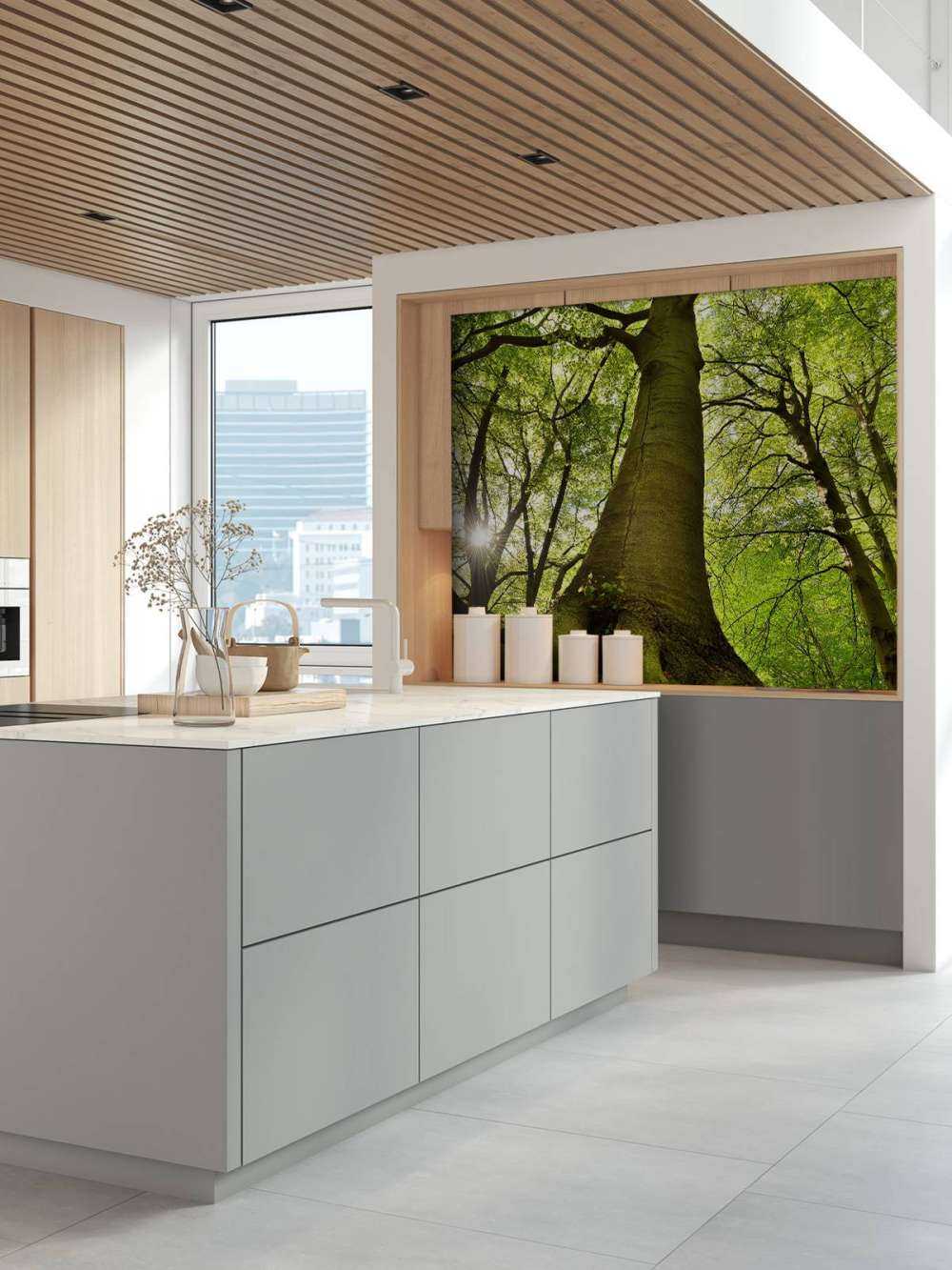 Grande albero e radici