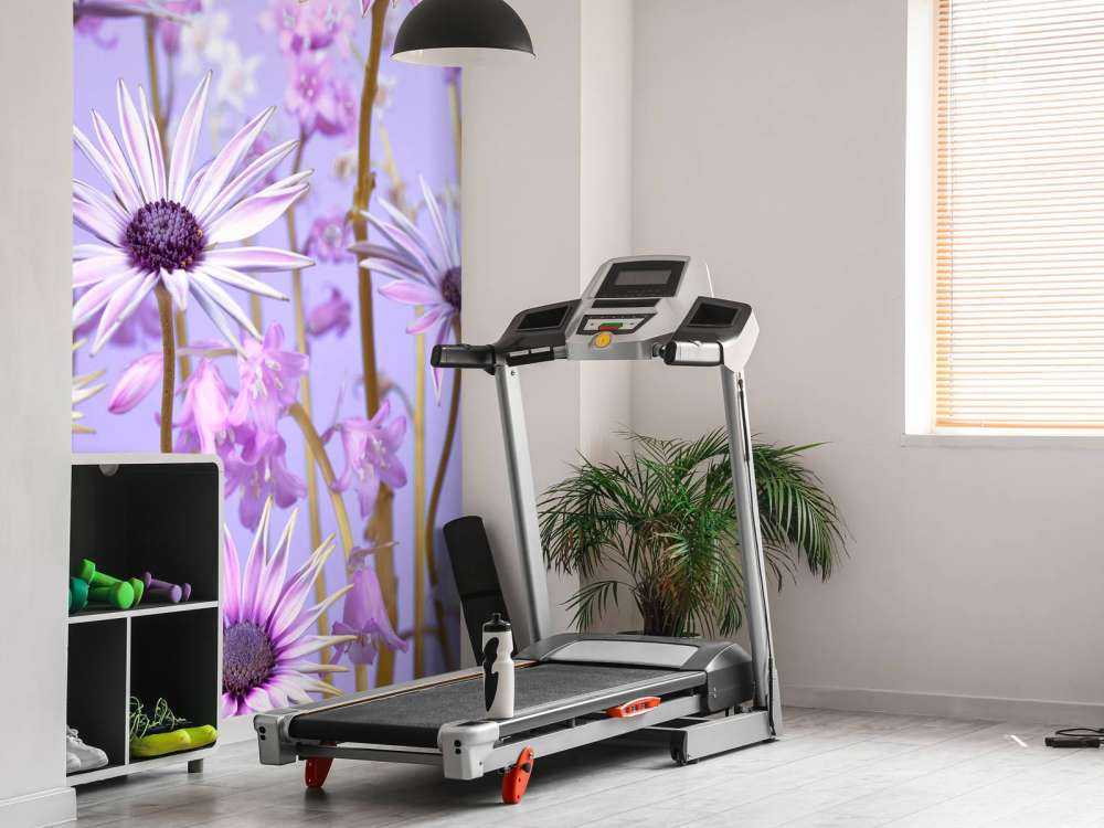 Fiori viola colorati