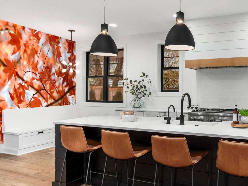 Foglie autunnali colorate