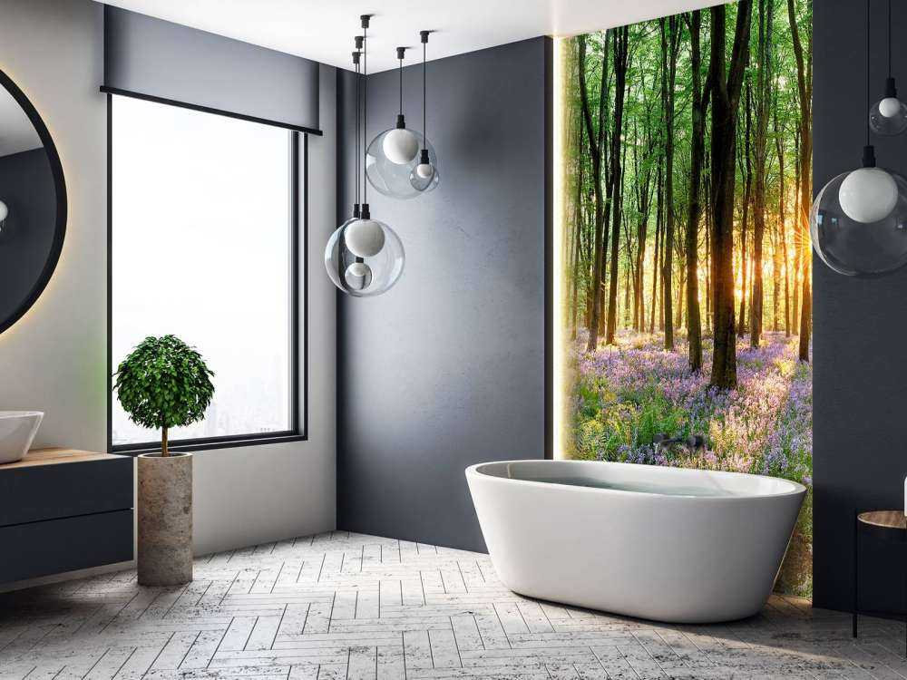 Sentiero della foresta all'alba