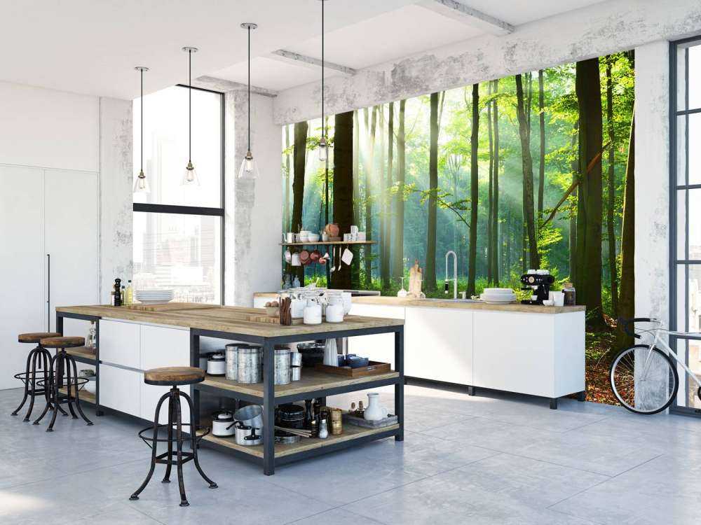 Mattina nella foresta