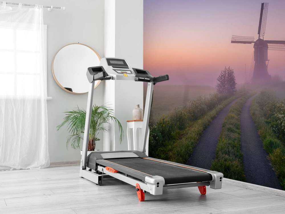 Il percorso del mulino