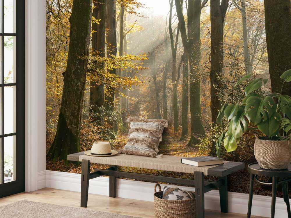 La foresta di Crécy