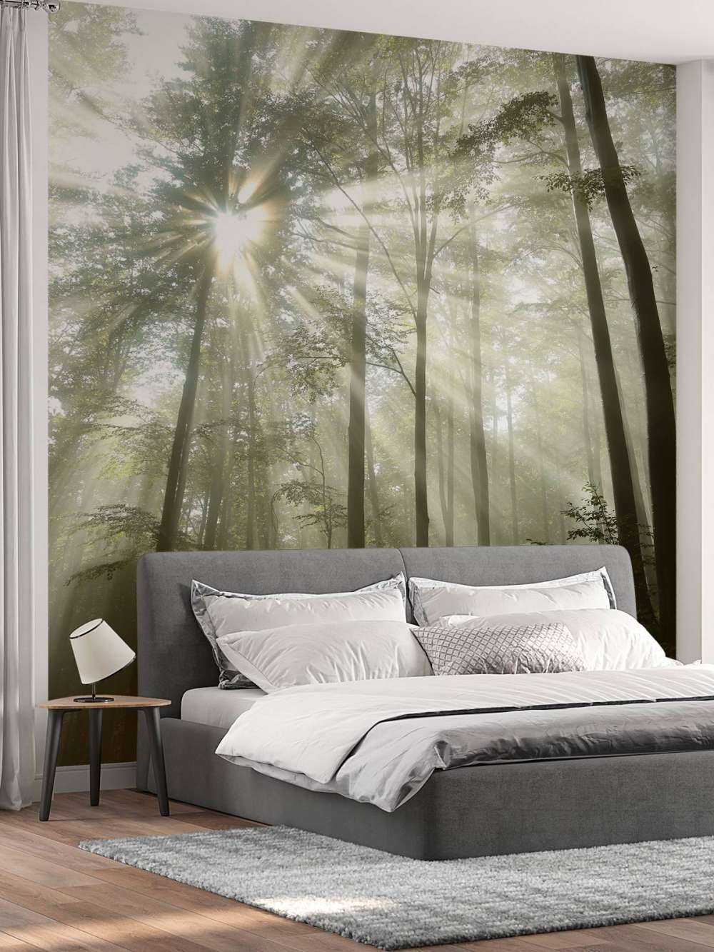 Foresta con la nebbia