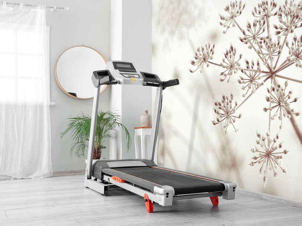 Prezzemolo di mucca ravvicinato