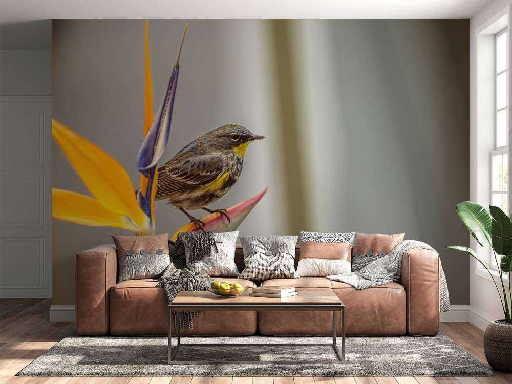 Fiore del paradiso con uccello