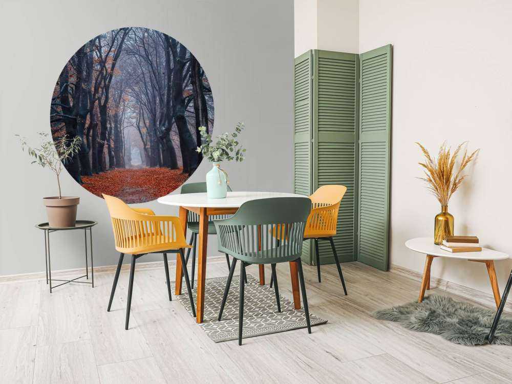 Sentiero forestale con foglie