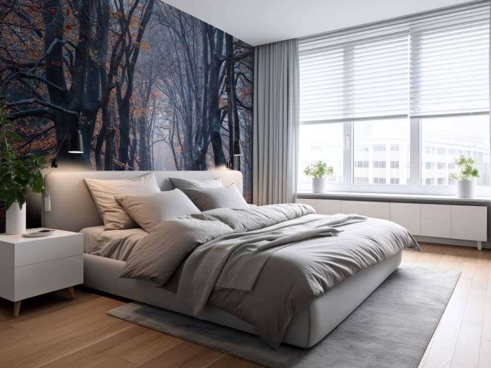 Sentiero forestale con foglie