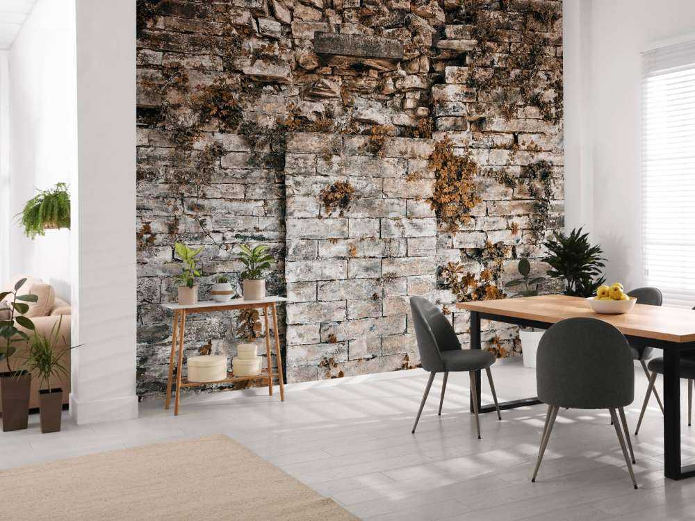 Parete vegetata in autunno