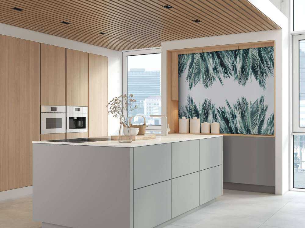 Foglie di palma su sfondo bianco