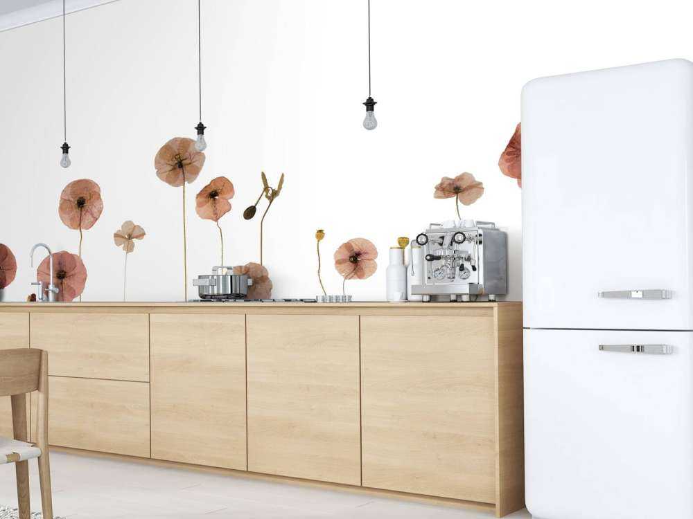 Campo di fiori di papavero colorato