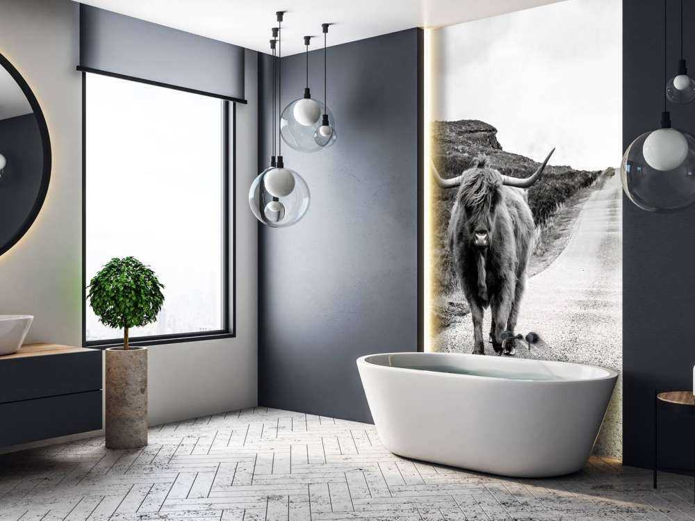 Highlander scozzese su una strada