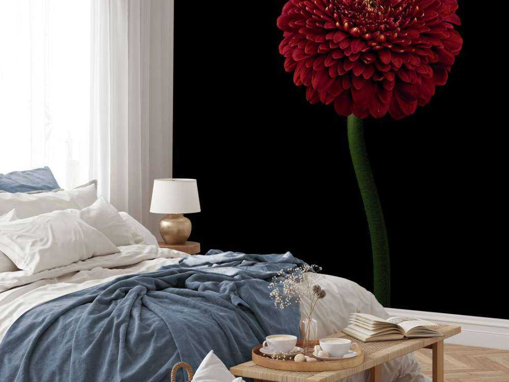 Fiore rosso su stelo