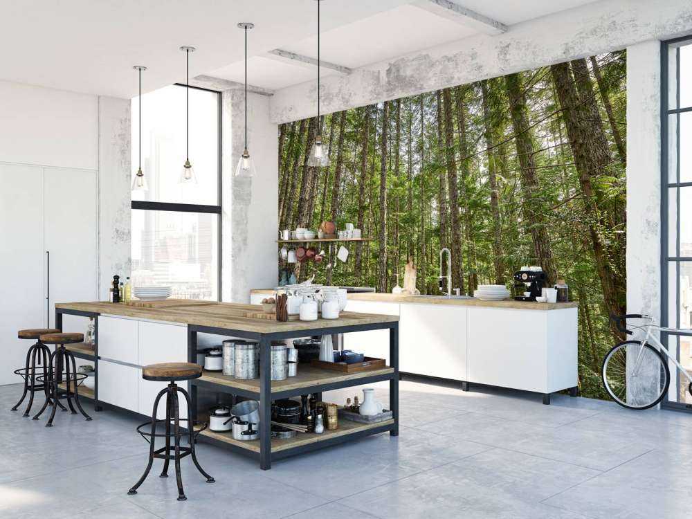 Alberi sottili nella foresta