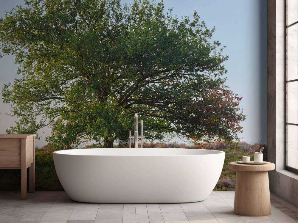 Albero solitario sulla brughiera