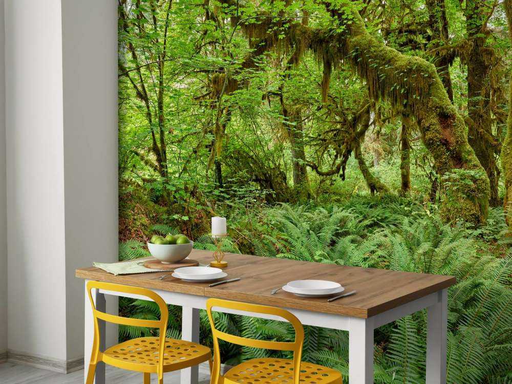 Felci in un vecchio bosco