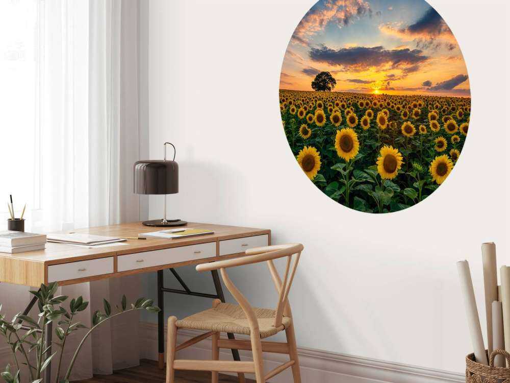 Campo pieno di girasoli