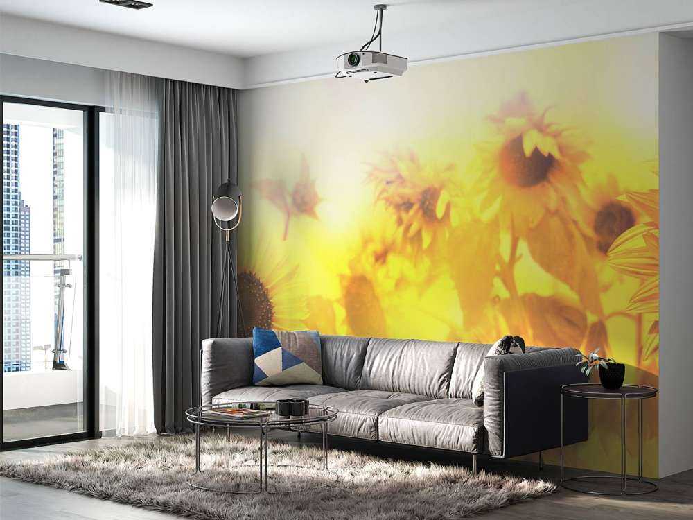 Panorama del girasole