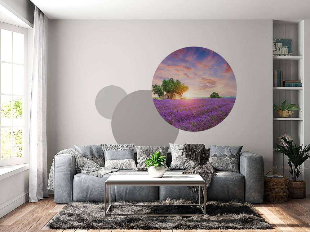 Campo di lavanda all'alba