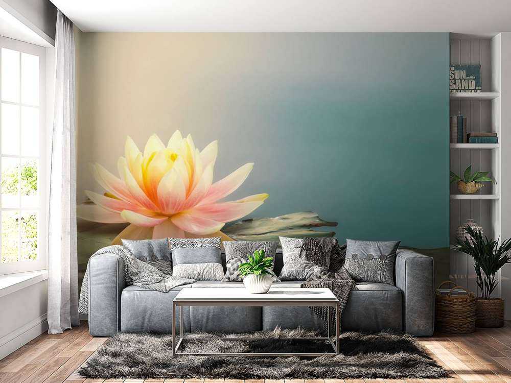 Stagno con fiori di loto