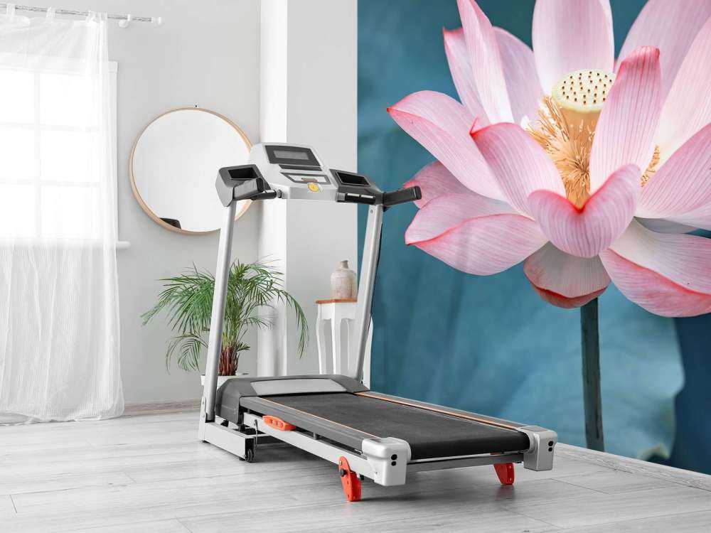 Fiore di loto da vicino