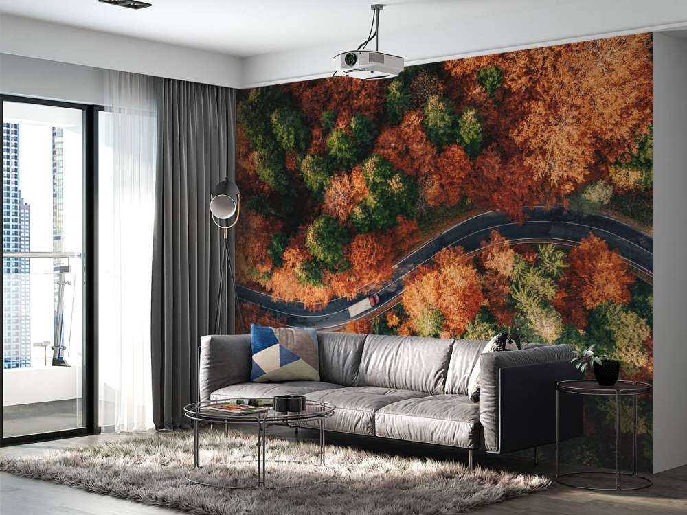 Strada tortuosa con camion