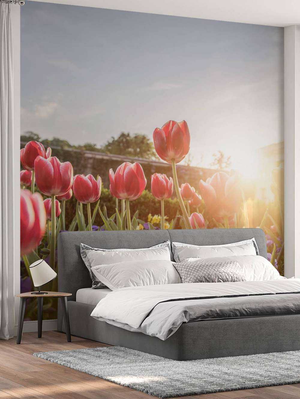 Fiori alla luce del sole