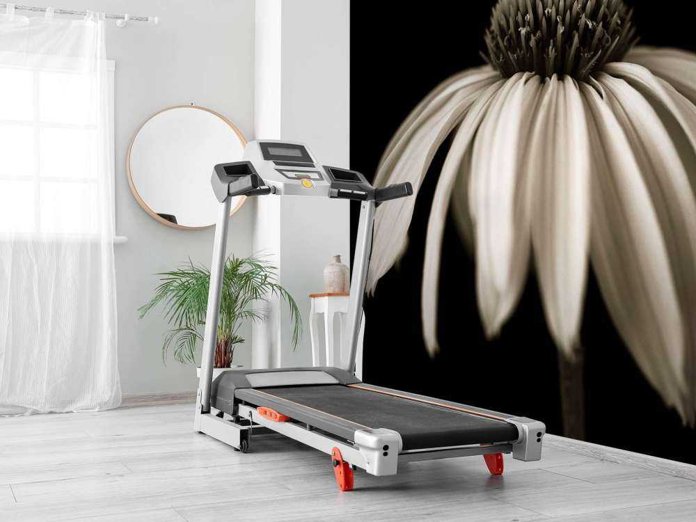 Primo piano del fiore a cono