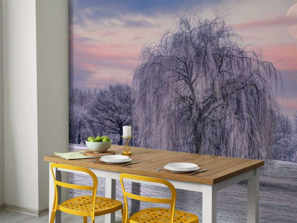 Albero ricoperto di brina