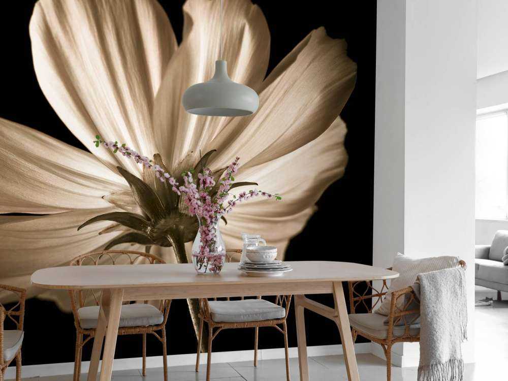 Fiore di cosmo dal basso