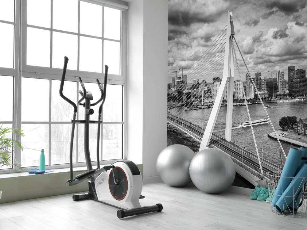 Il centro di Rotterdam da una grande altezza in bianco e nero