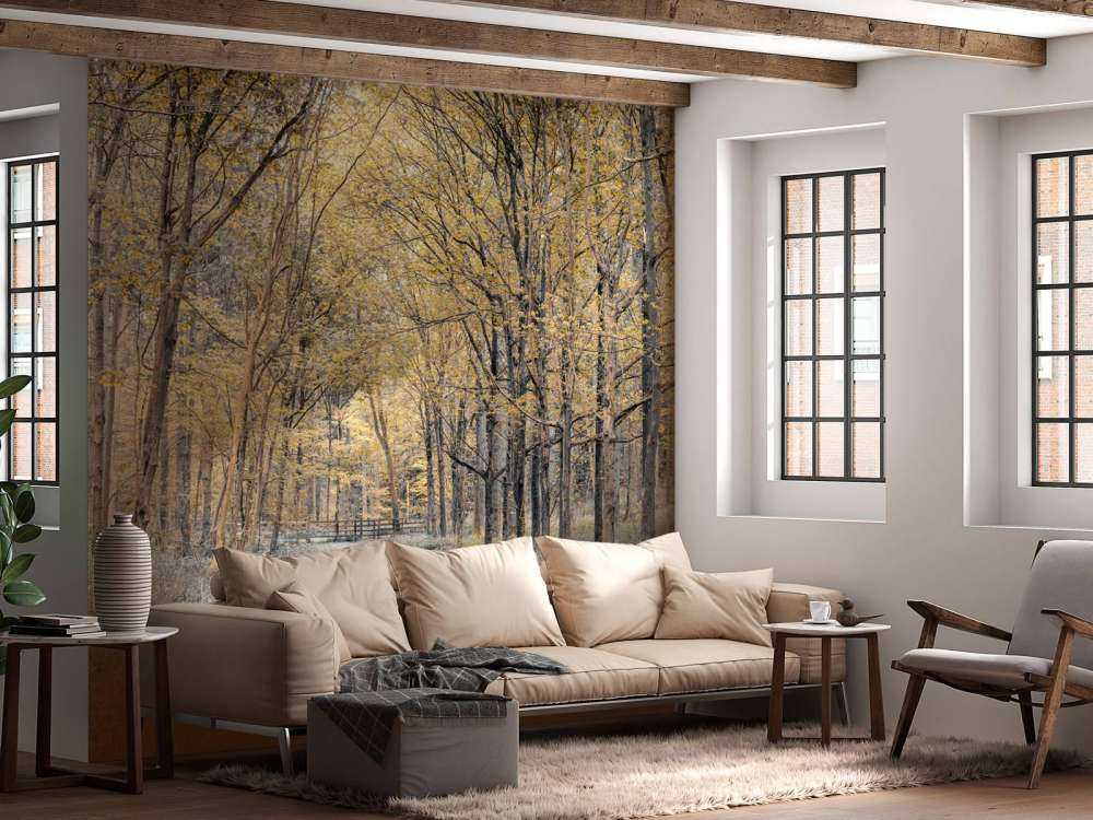 Strada forestale in autunno