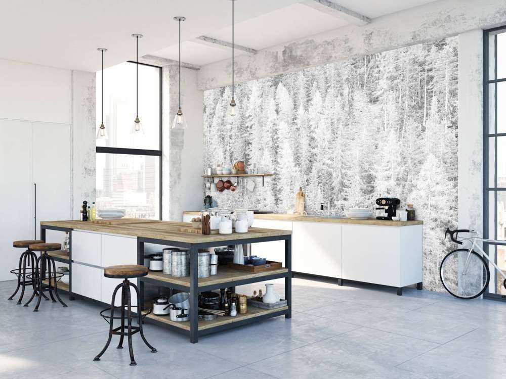 Conifere in bianco e nero