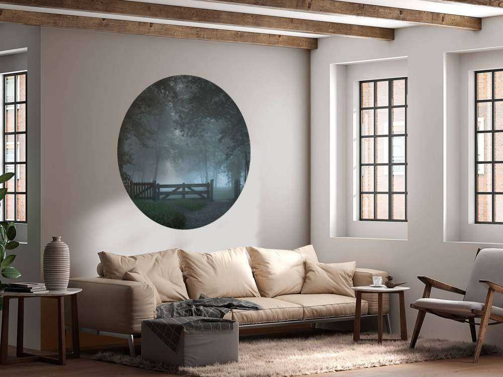 Sentiero della foresta nebbiosa