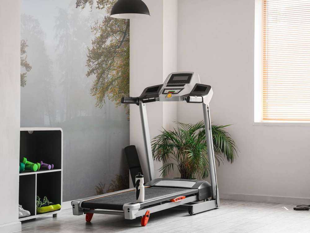 Stagno della foresta nella nebbia