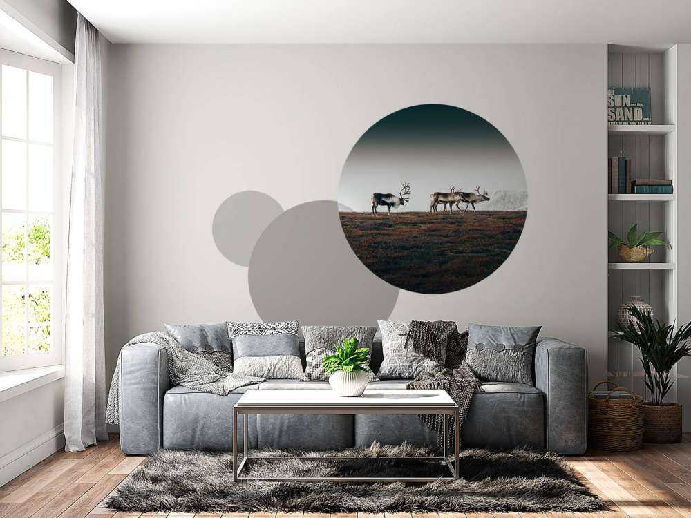 Gruppo di renne nel nord Europa