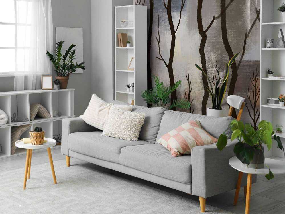 Silenzio del Tramonto Foresta dei Cervi