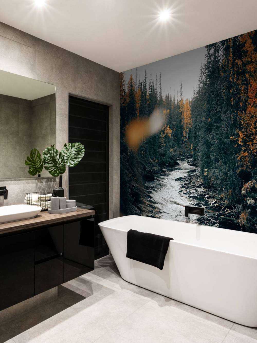 Foresta autunnale incantata