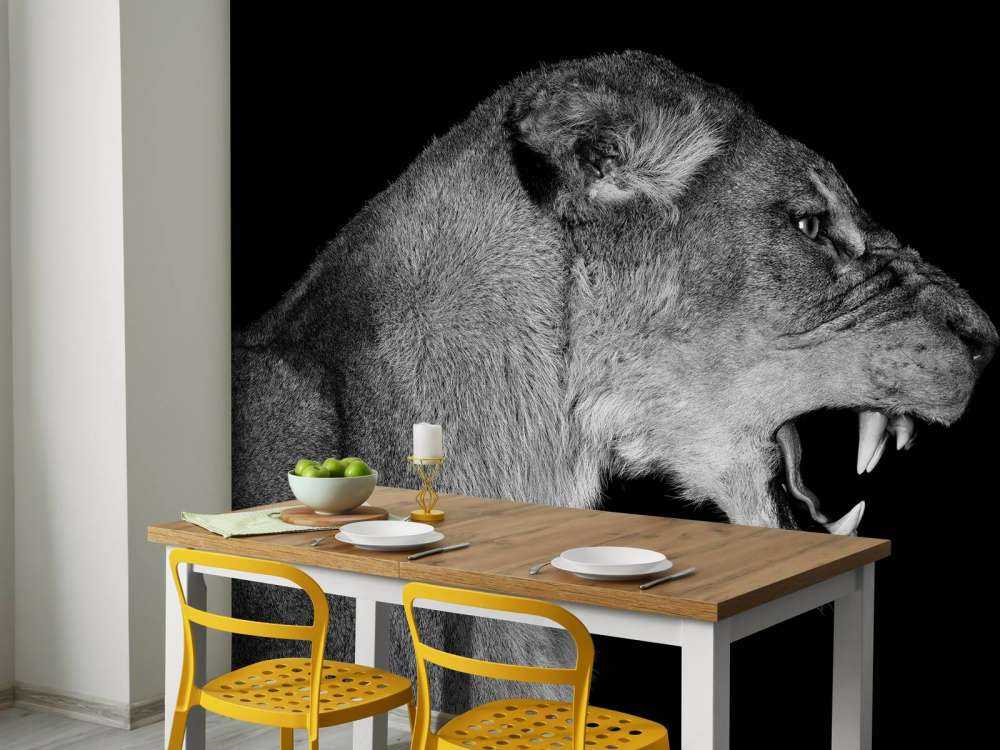 Vista laterale leonessa nera