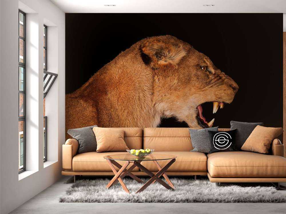 Vista laterale leonessa