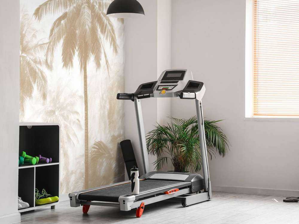 Foresta di Palme Nebbiosa, taupe