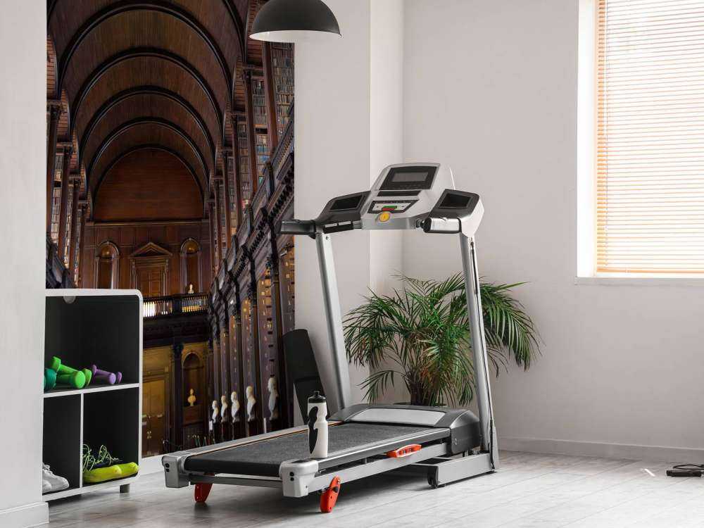 Sala di lettura classica con archi