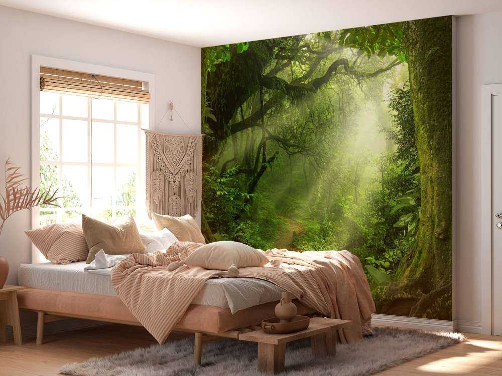 Giungla con raggi di sole