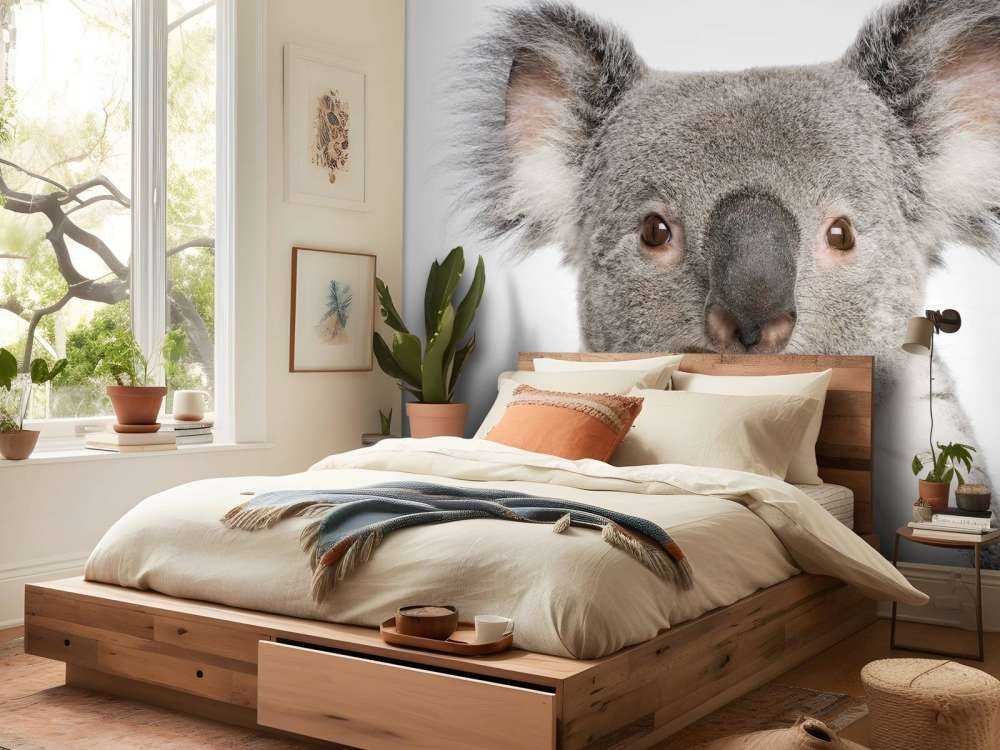 Foto di un koala