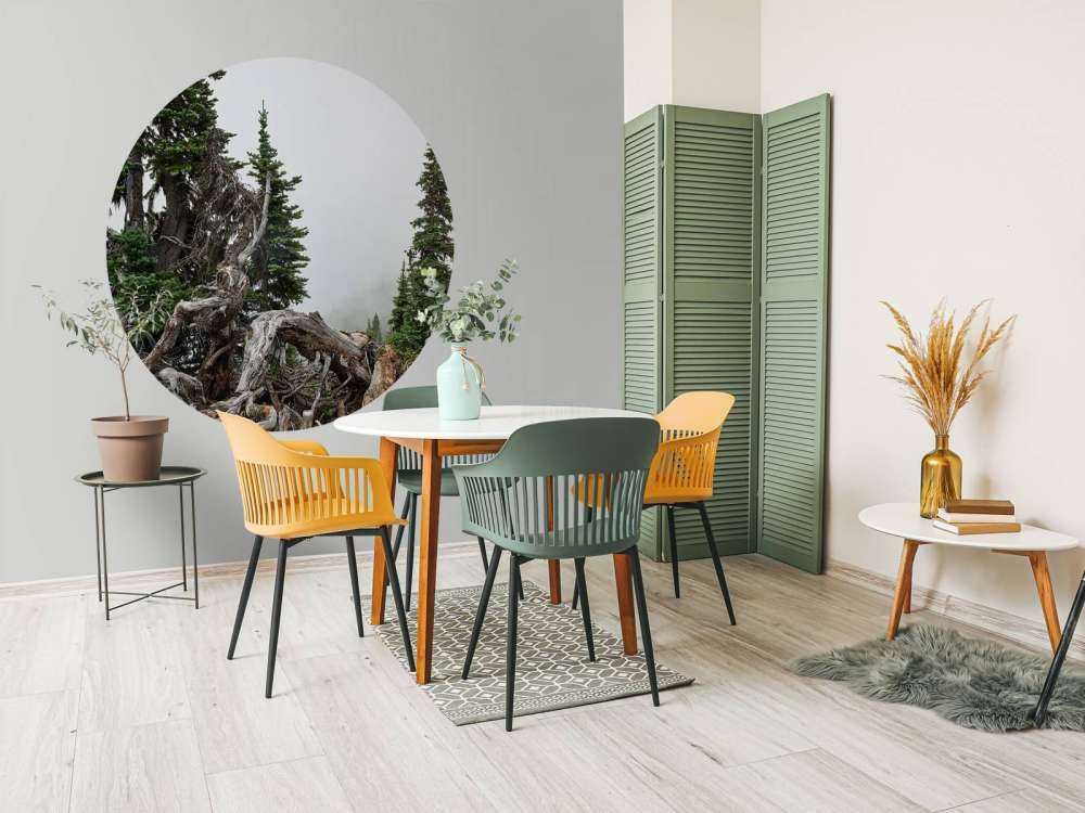 Alberi e vecchi alberi 