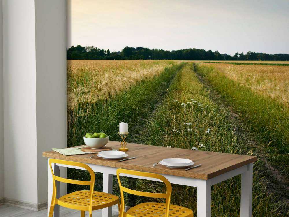 Pista in Wheatfield 