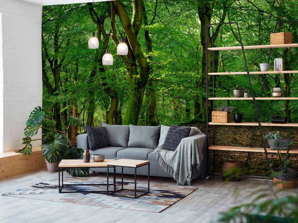 Alberi con foglie verdi 